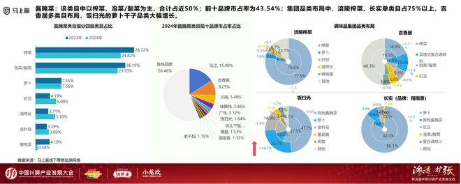 业发展大会：调味品竞争态势及发展趋向麻将胡了试玩网站免费分享实录丨川调产(图12)