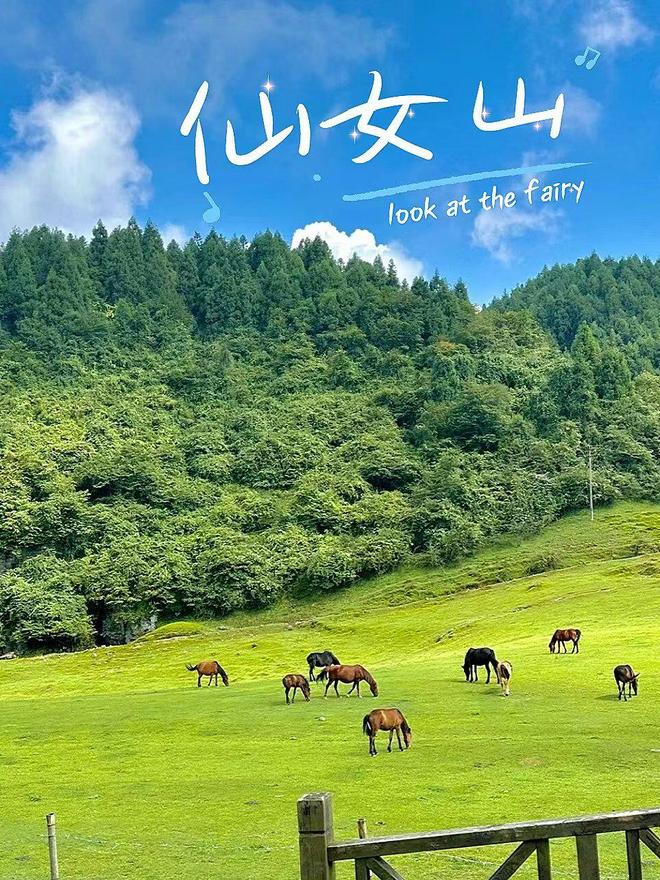 行攻略：景点日程+预算价格全解析麻将胡了电子游戏重庆武隆5天