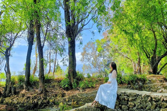 团精品旅程去云南报团四天游大概多少钱PG电子麻将胡了模拟器云南4日游旅行(图5)